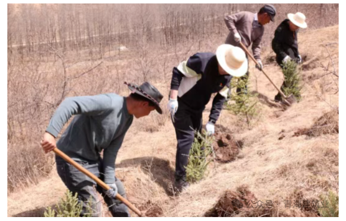 联想截图_20250423085545